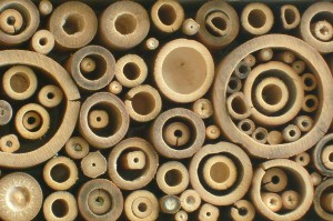 DÉROULEMENT DU PROJET