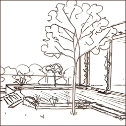 Terrasse en bois